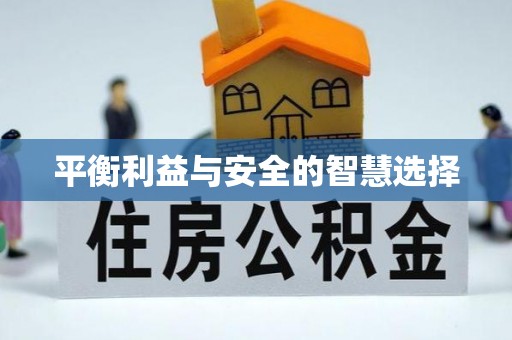 全国平衡利益与安全的智慧选择