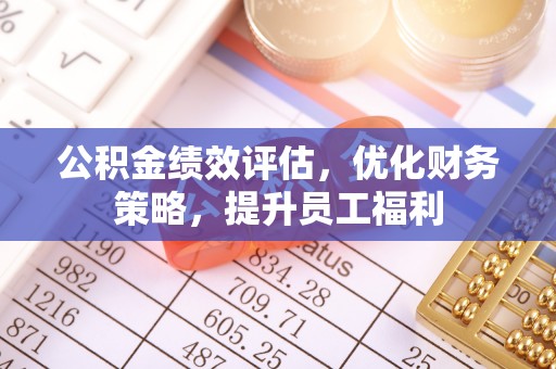 全国公积金绩效评估，优化财务策略，提升员工福利