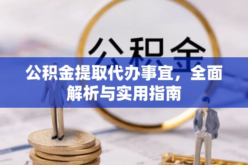 全国公积金提取代办事宜，全面解析与实用指南