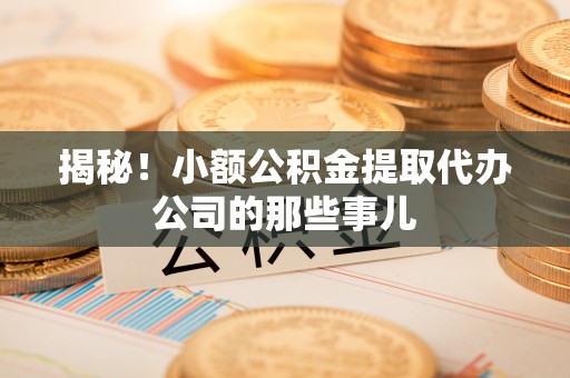 全国揭秘！小额公积金提取代办公司的那些事儿