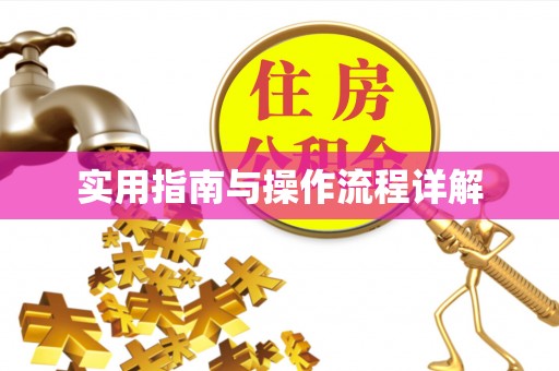全国实用指南与操作流程详解